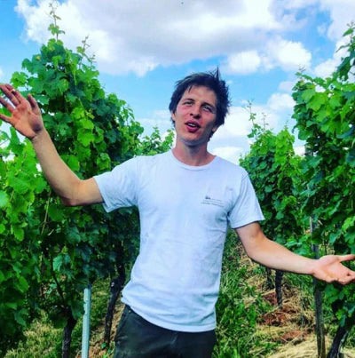 Marto Wines