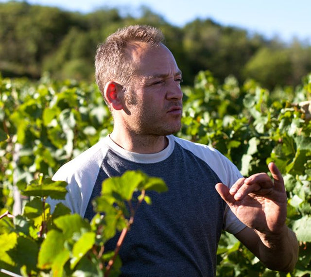 Domaine des Vignes du Maynes