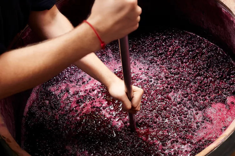 The home of natural wine in Iceland