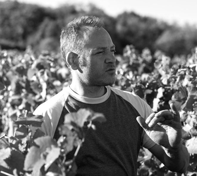 Domaine des Vignes du Maynes